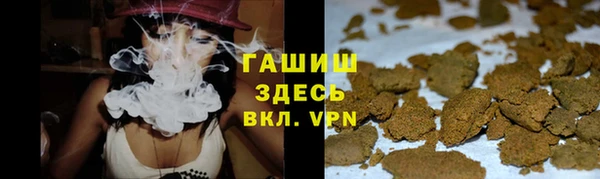 прущие грибы Баксан