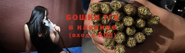прущие грибы Баксан