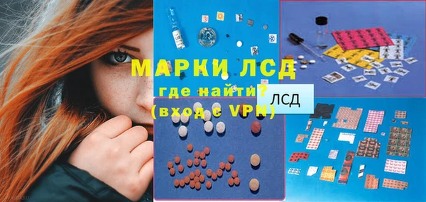 прущие грибы Баксан