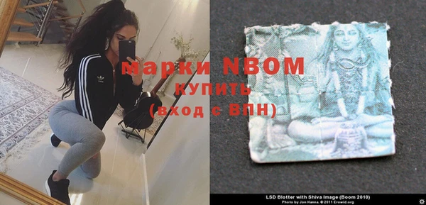 прущие грибы Баксан