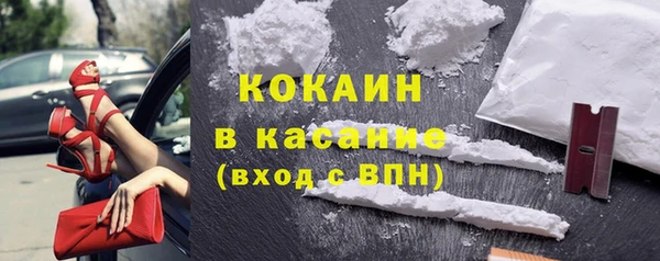 прущие грибы Баксан