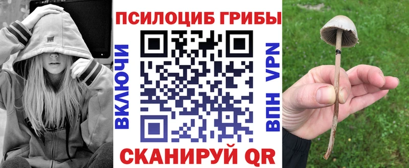 Галлюциногенные грибы Magic Shrooms  Волжск 